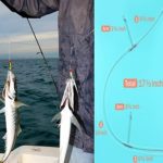 How to Tie a Fish Finder Rig
