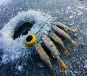 How Use GPS Finder For Ice Fishing