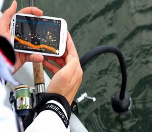 What Does Fish Look Like on a Fish Finder