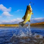What to Use for Bass Fishing